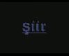 ve gittin