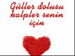 acıya gülmek