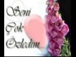 biri bana gelsin
