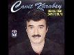 Cavit Karabey-Garip