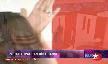 zuhal topal'�n hint dans�