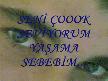 han_meli