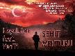 HayaLHan feat. YenTi - Şehit Mektubu