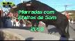 Bu Nas�l E�lence