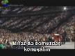 Domuz eti neden Günah??
