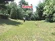 Alman kurdu