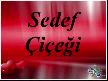 Sedef Çiçeği