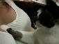 Bu Kedi Ne İstiyor…