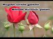 yedi karanfil babalar g�n�
