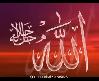 �EH�T OLAN ASKERLER�M�Z