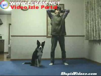 sportmen köpek - gülünç izle