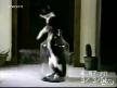 KEDİLERDEN MUHTEŞEM GÖSTERİ
