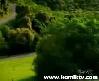 10 Saniye Huzur Bulun