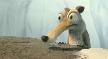 bir f�st�k u�runa s�per
