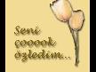 Seni ÇOK Özledim - İbrahim Sadri