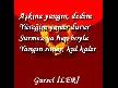 şiirler kalır