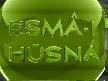 DÜNYADAN ESMAÜL HÜSNA 1