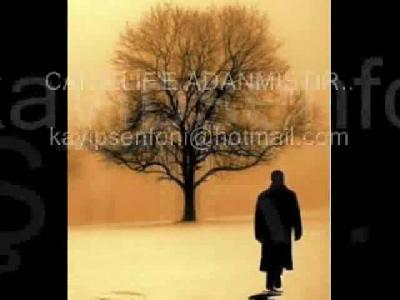 BİR ELİF SENFONİSİ izle