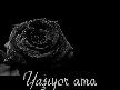 Soner Arıca-Biz