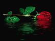 Ebru G�nde� Y�lmaz Erdo�an - Gitme bir ad�m �teye