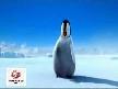 penguenlerin trabzon kolbastısı
