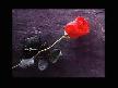 DİLENCİ-ORHAN GENCEBAY