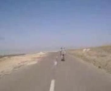 Yavrusunu sucuk çetesine kaptıran eşek in feryadı izle