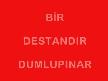 DUMLUPINAR ŞEHİTLERİNE