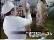 El Aliskanligi