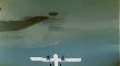 Full HD - Sky Diving - HQ