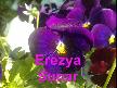 Erezya - Ne Güzel Yakışmış Allar Ayşe'ye (Kırıkkal