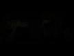 Tripkolic D�n Bebe�im