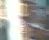 ziya show-2
