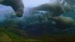 Buz Dünyaları 6/7 (Türkçe) BBC-Planet Earth