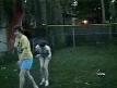 k�t� kazalar