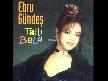 ebru gundes  ölü bır denız