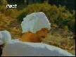 Salawat