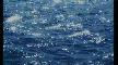 Dj Nejtrino feat Nikita Malinin & El Ray